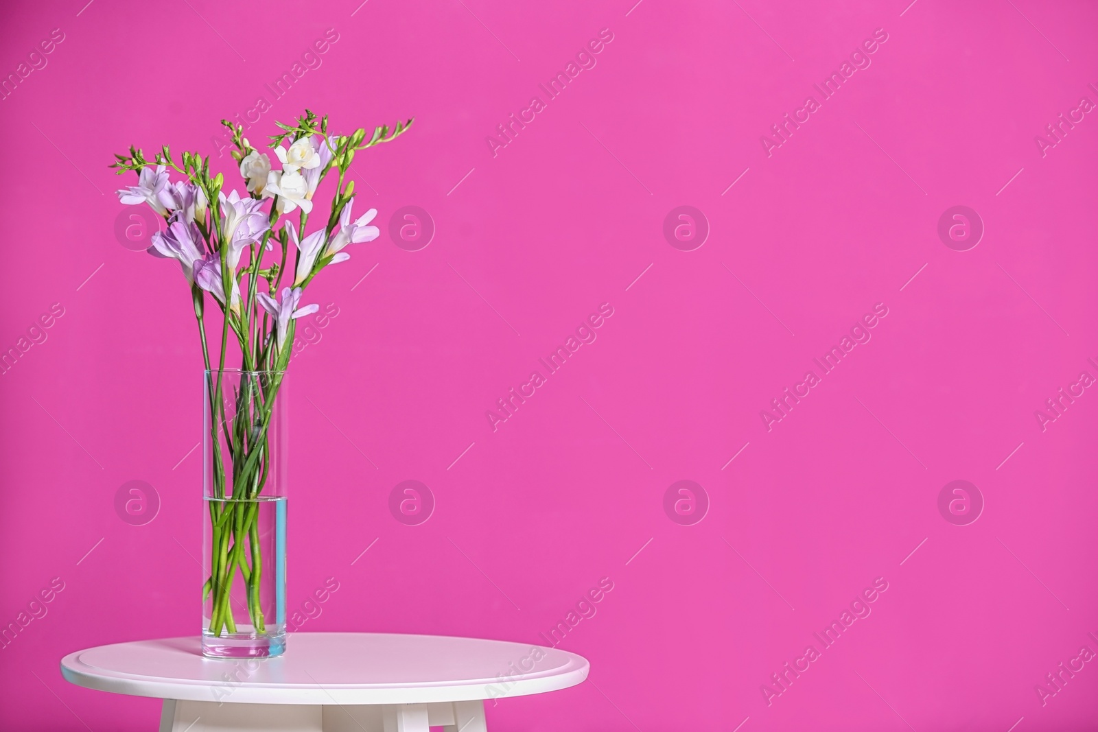 Photo of Beautiful fragrant freesia flowers in vase and space for text on color background