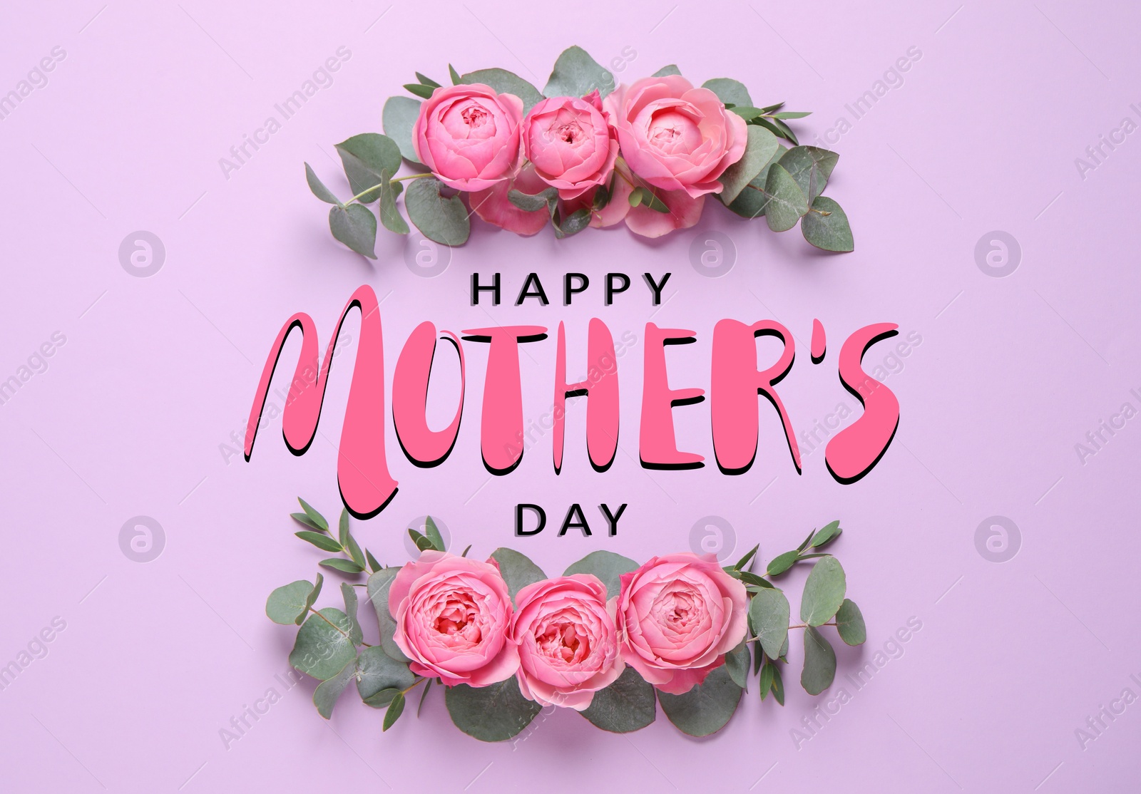 Image of Happy Mother's Day. Greeting card with pink flowers and eucalyptus branches on violet background, flat lay