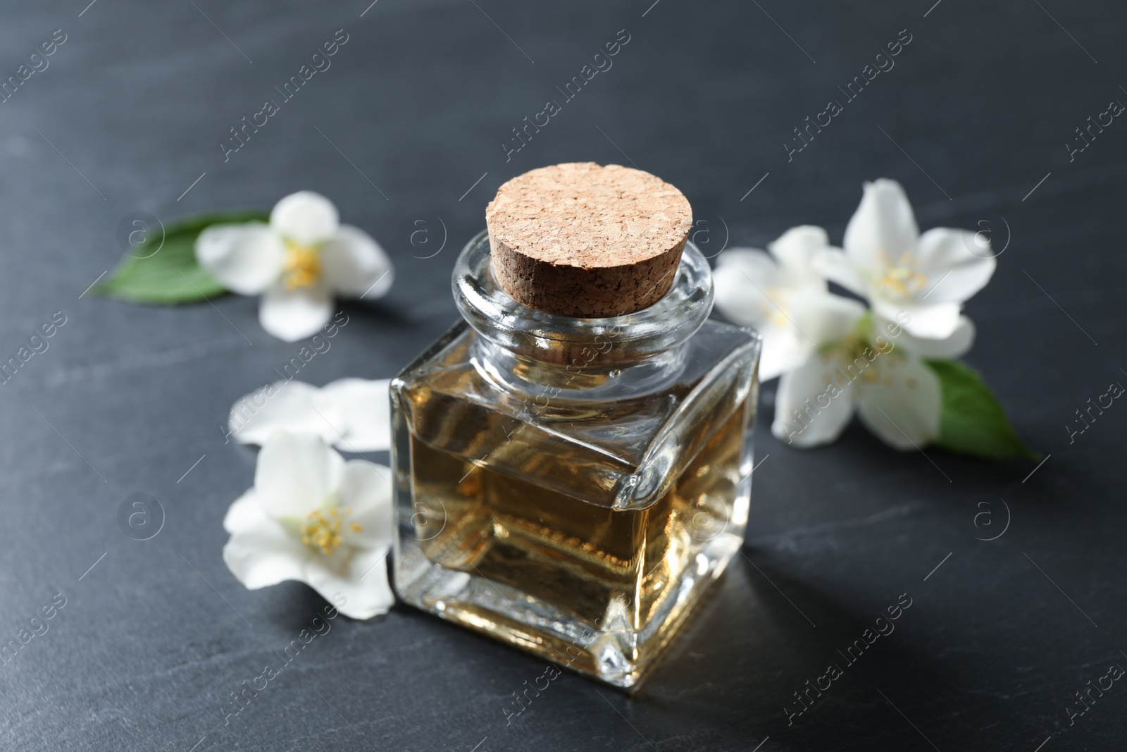 Photo of Jasmine essential oil and fresh flowers on dark grey table