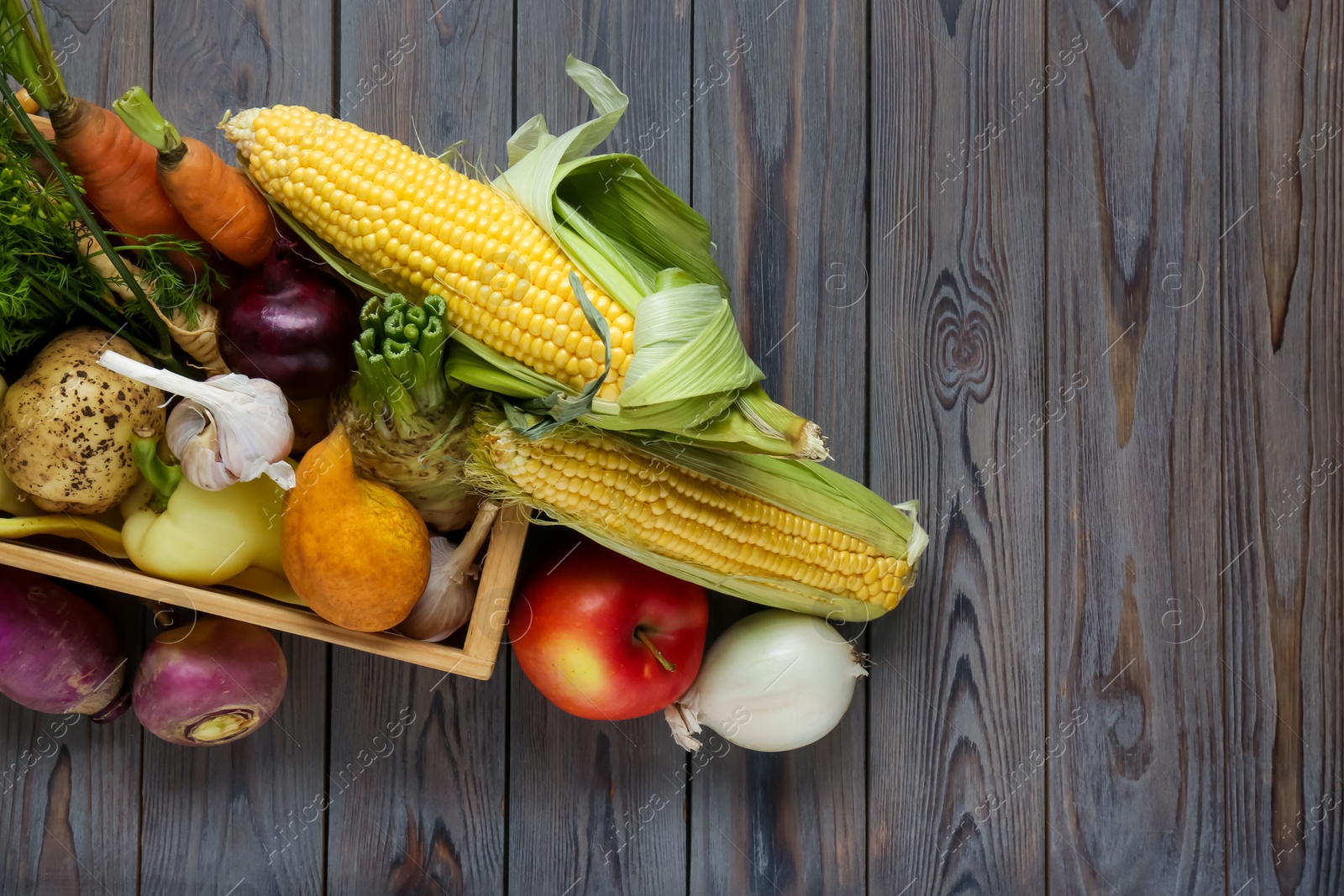 Photo of Different fresh vegetables on wooden table, flat lay with space for text. Farmer harvesting