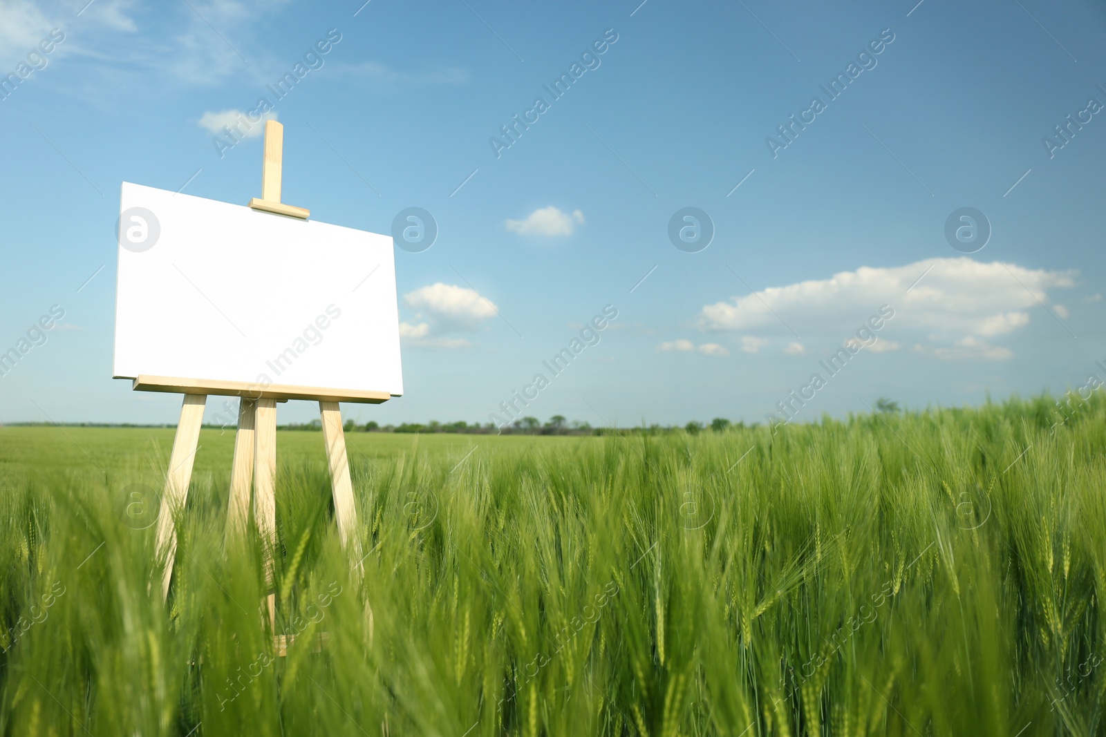 Photo of Wooden easel with blank canvas in picturesque green field on sunny day. Space for text