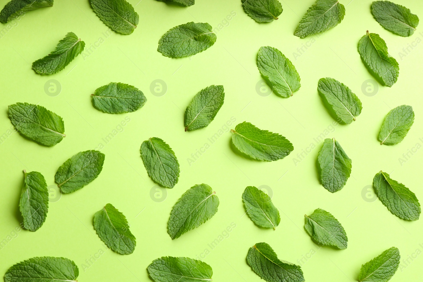 Photo of Fresh mint on green background, flat lay