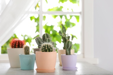 Photo of Beautiful different cacti in pots on windowsill