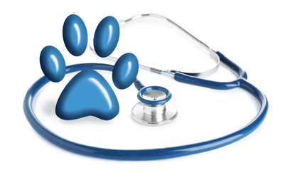 Image of Stethoscope and animal paw on white background