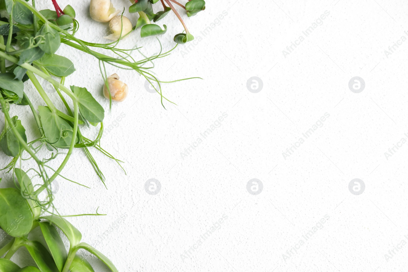 Photo of Different microgreens on white table, flat lay. Space for text