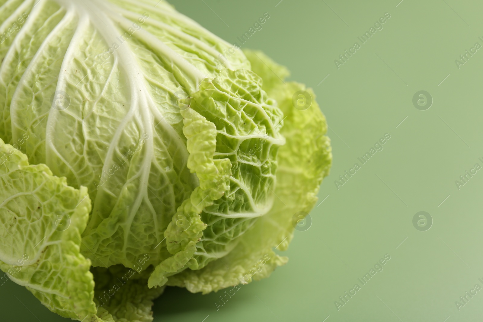 Photo of Fresh ripe Chinese cabbage on pale green background, closeup. Space for text