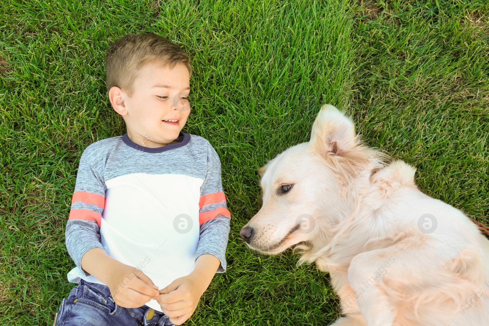 Photo of Cute little child with his pet on green grass, top view