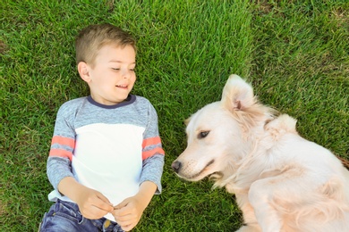 Cute little child with his pet on green grass, top view