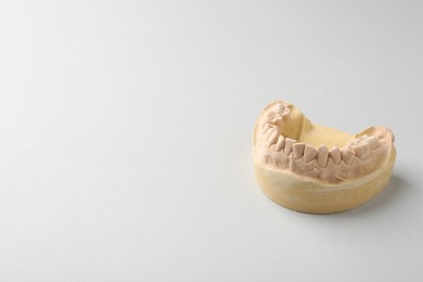 Photo of Dental model with gums on light grey background, space for text. Cast of teeth
