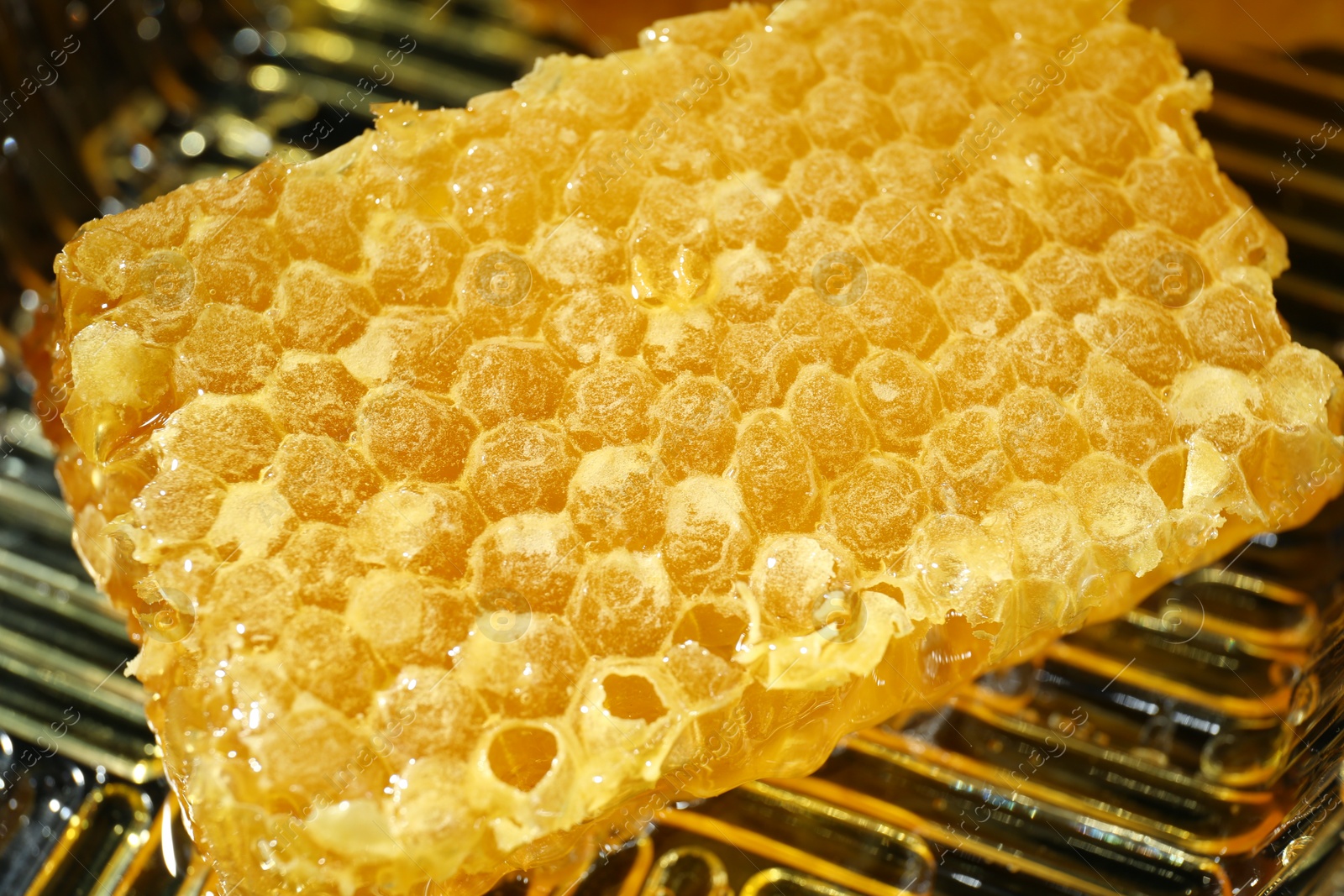 Photo of Natural honeycomb with tasty honey in plastic container, closeup