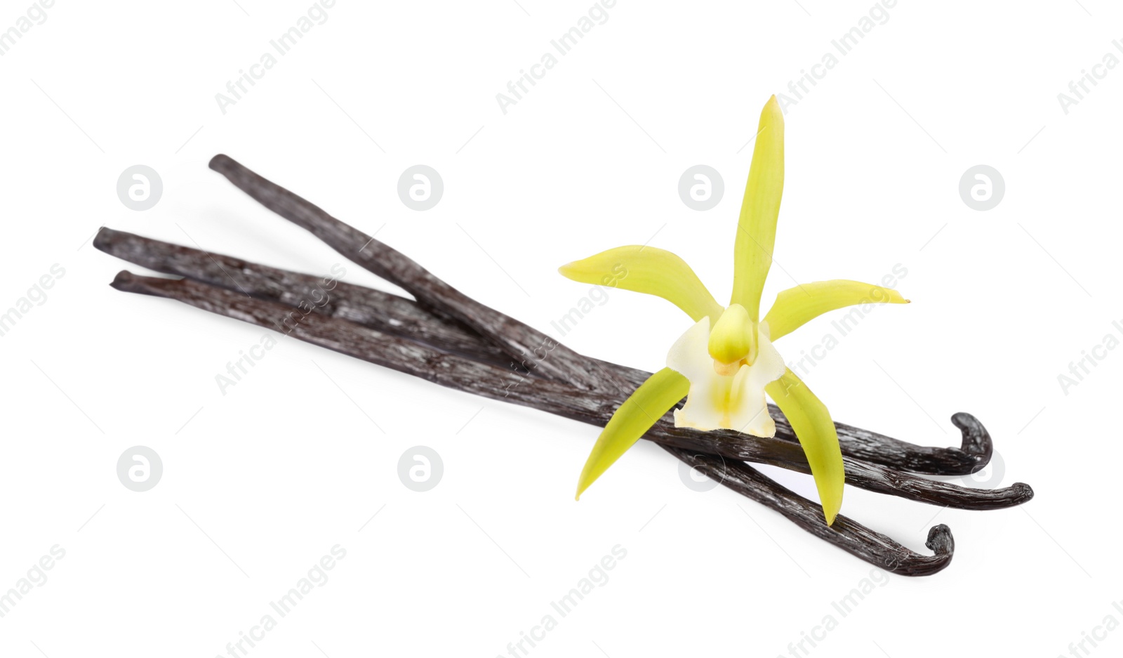 Photo of Vanilla pods and beautiful flower isolated on white