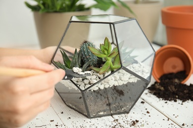Photo of Woman transplanting home plants into florarium at table, closeup