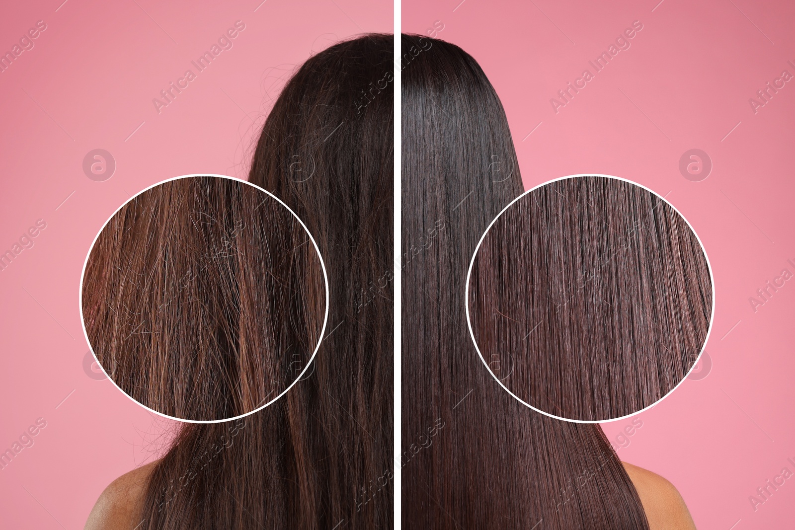 Image of Photo of woman divided into halves before and after hair treatment on pink background, back view. Zoomed area showing damaged and healthy strand