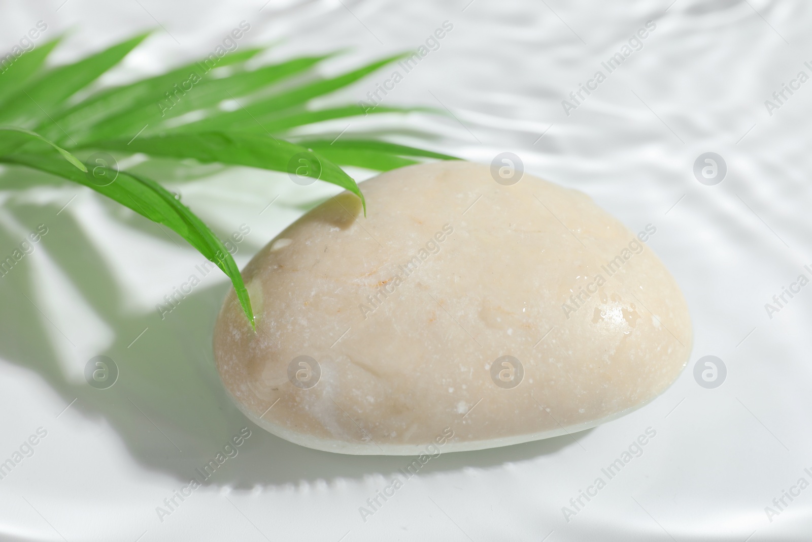 Photo of Spa stone and palm leaf in water on white background, closeup