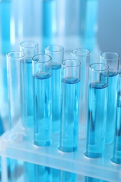 Test tubes with light blue liquid in laboratory, closeup