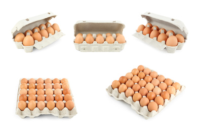 Image of Set of fresh eggs on white background