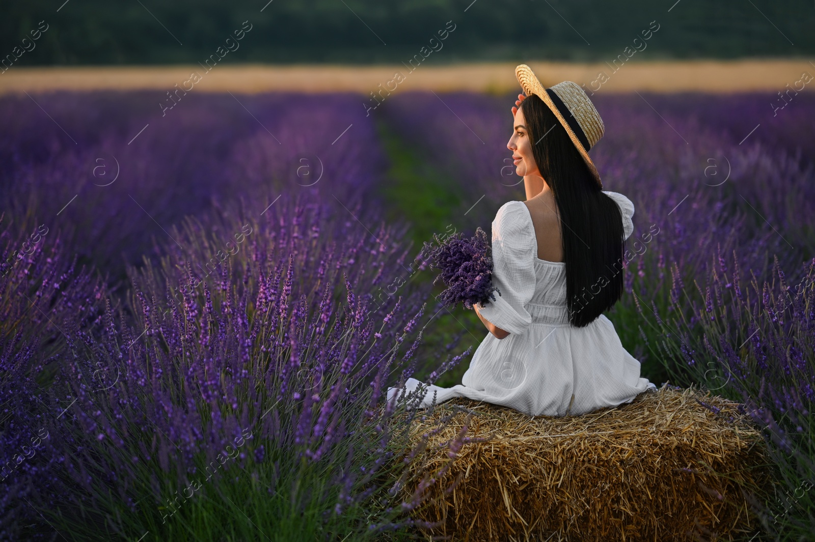 Photo of Woman sitting on hay bale in lavender field, back view