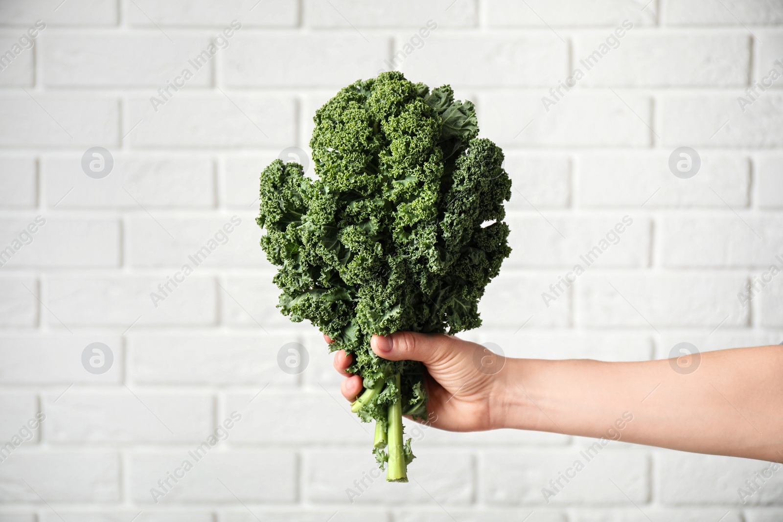 Photo of Woman holding fresh kale leaves near white brick wall, closeup