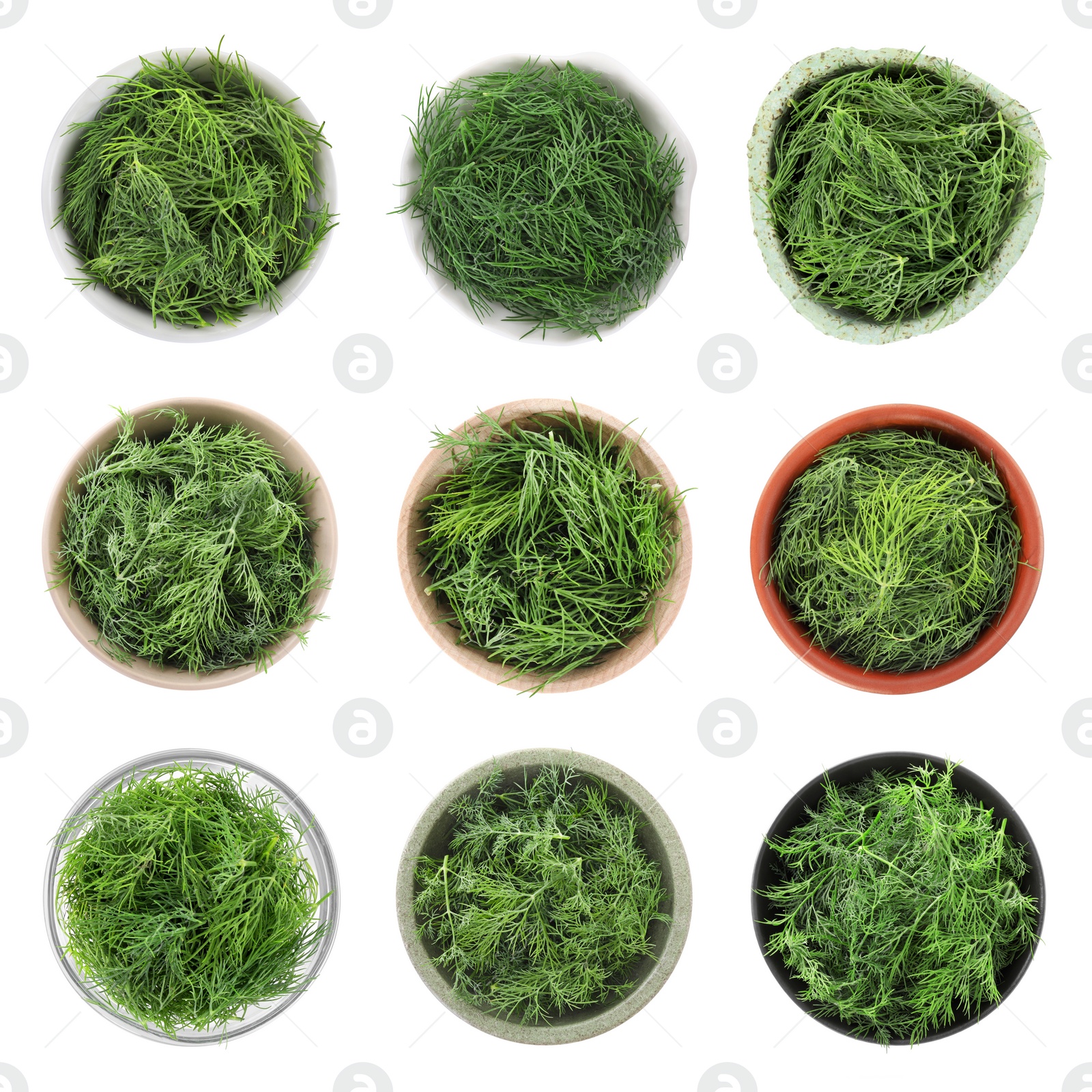 Image of Set of bowls with fresh dill isolated on white, top view