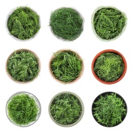 Set of bowls with fresh dill isolated on white, top view