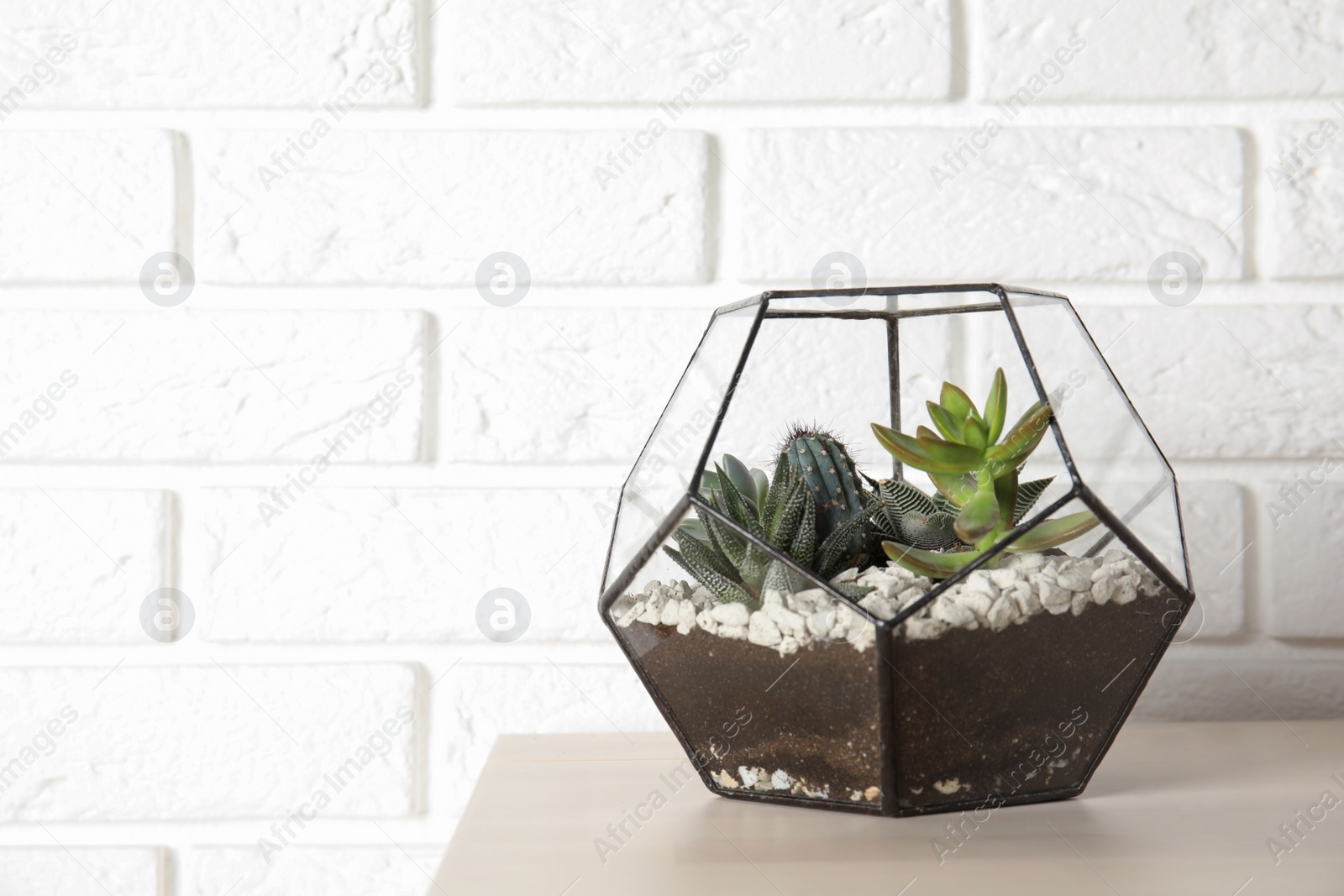 Photo of Florarium with succulent plants on table near brick wall, space for text. Home decor