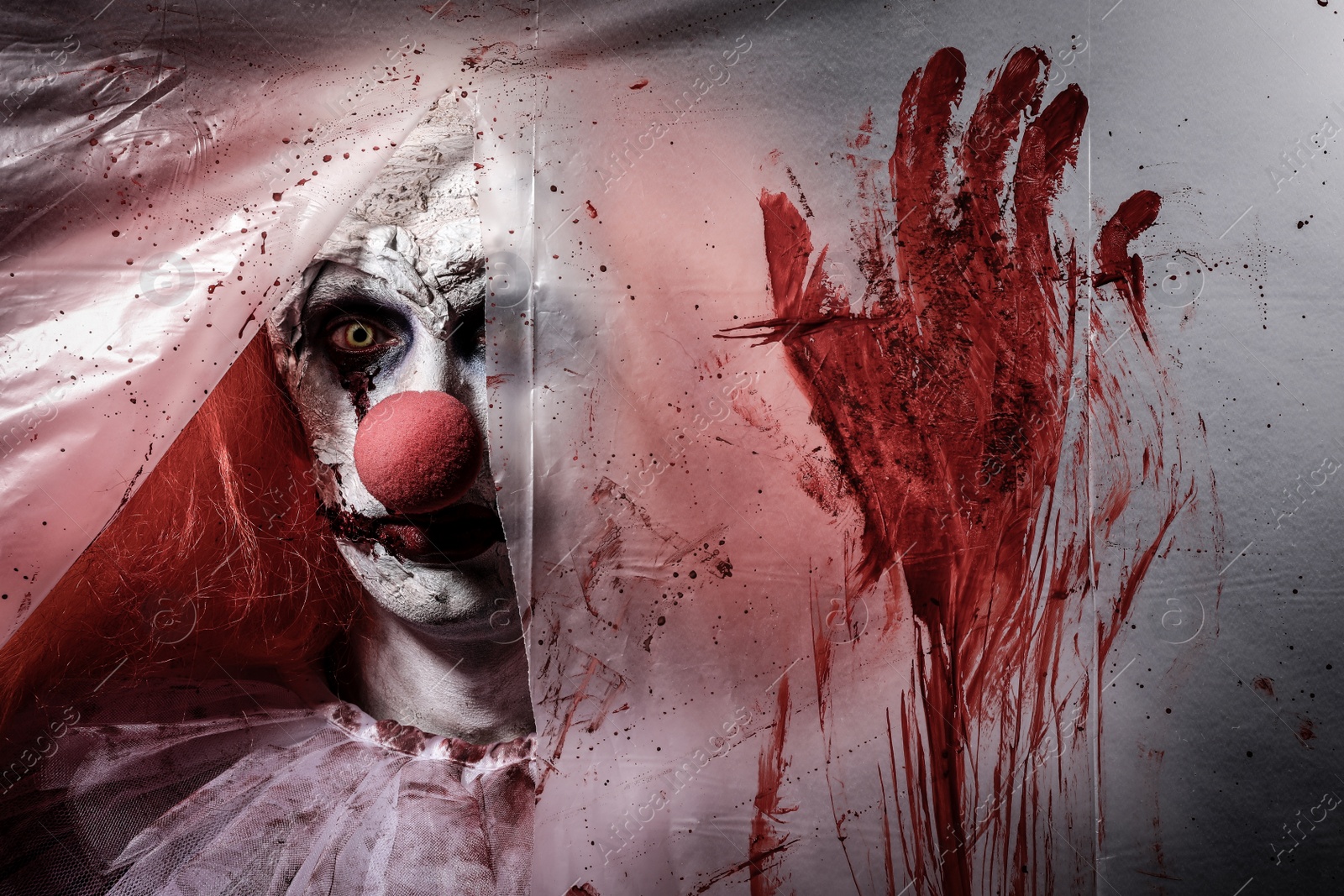 Photo of Terrifying clown staring through hole in torn bloodstained plastic film. Halloween party costume