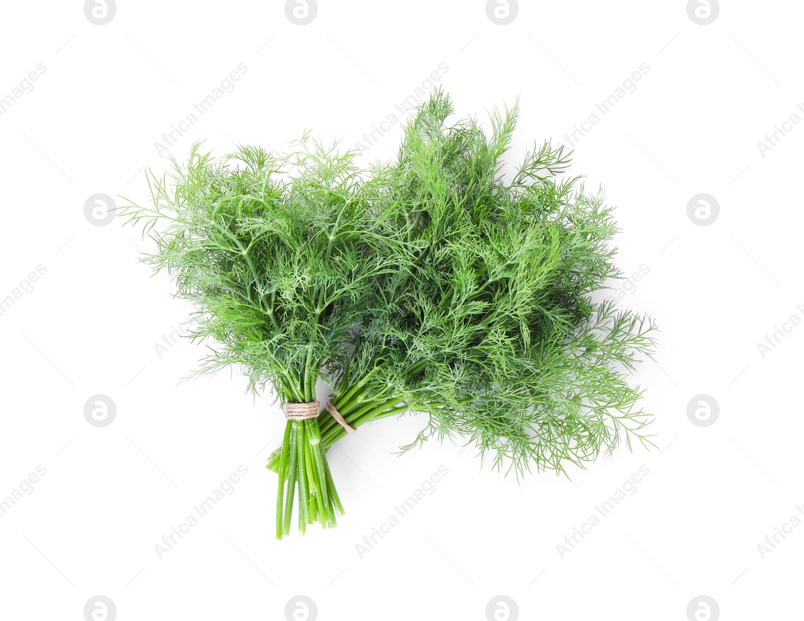 Photo of Bunches of fresh dill isolated on white, top view