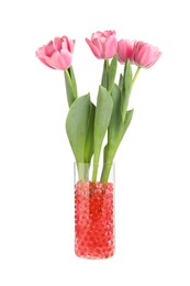Photo of Red filler with tulips in glass vase isolated on white. Water beads