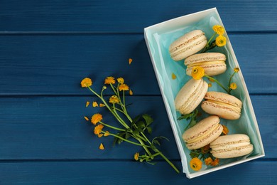 Delicious macarons and flowers on blue wooden table, flat lay