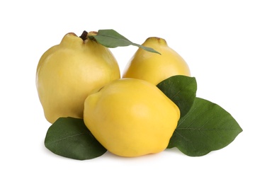 Photo of Ripe quinces with leaves on white background