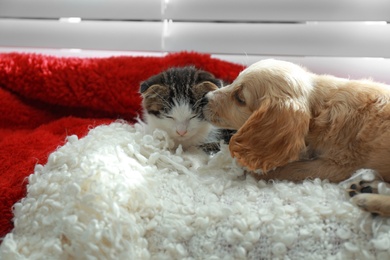 Photo of Adorable little kitten and puppy sleeping on plaid indoors