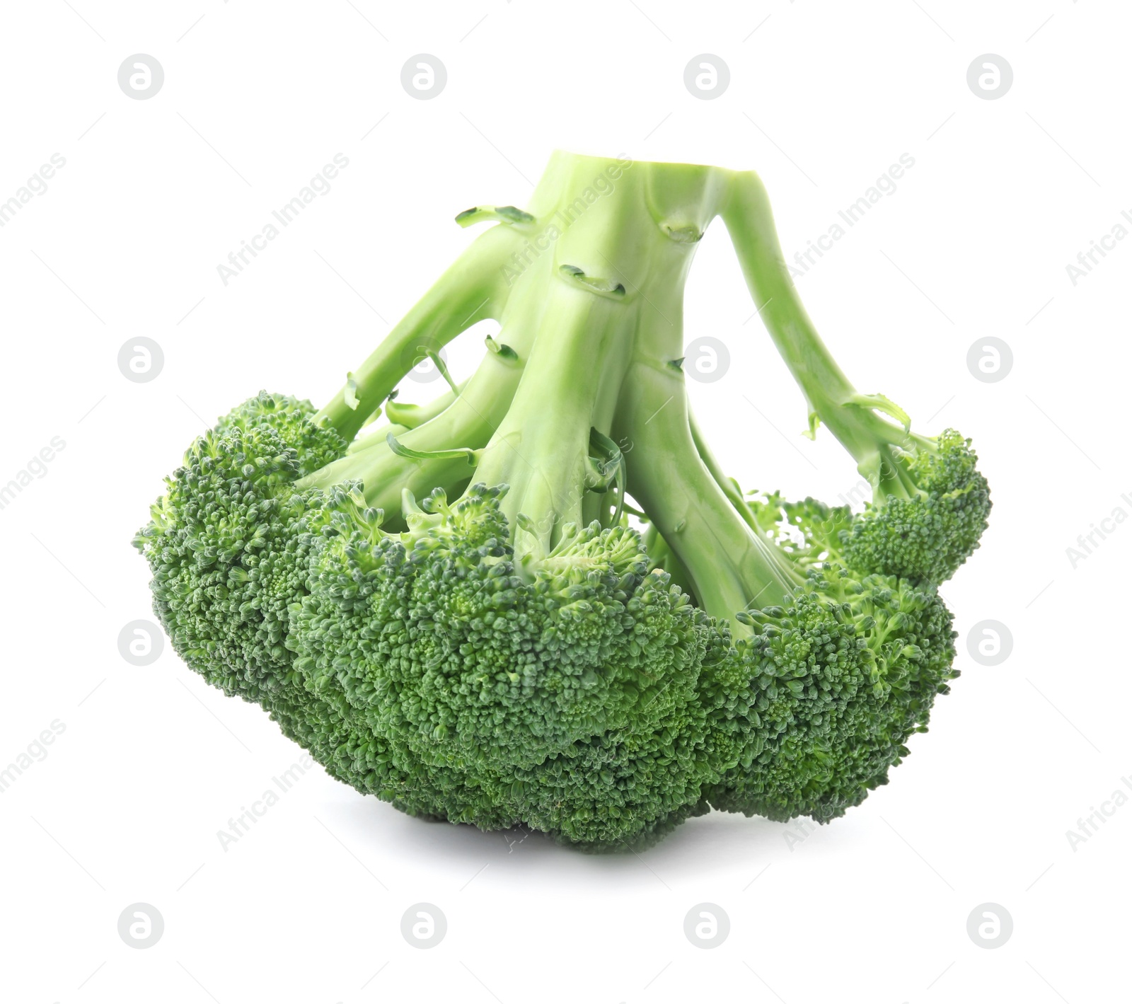 Photo of Fresh broccoli isolated on white. Edible green plant