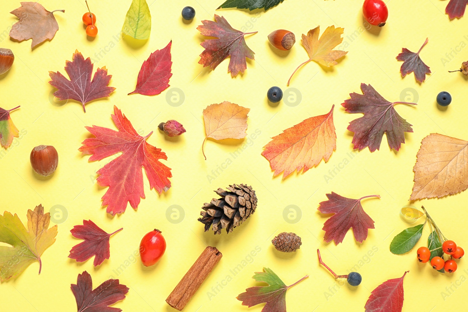 Photo of Beautiful composition with autumn leaves on yellow background, flat lay