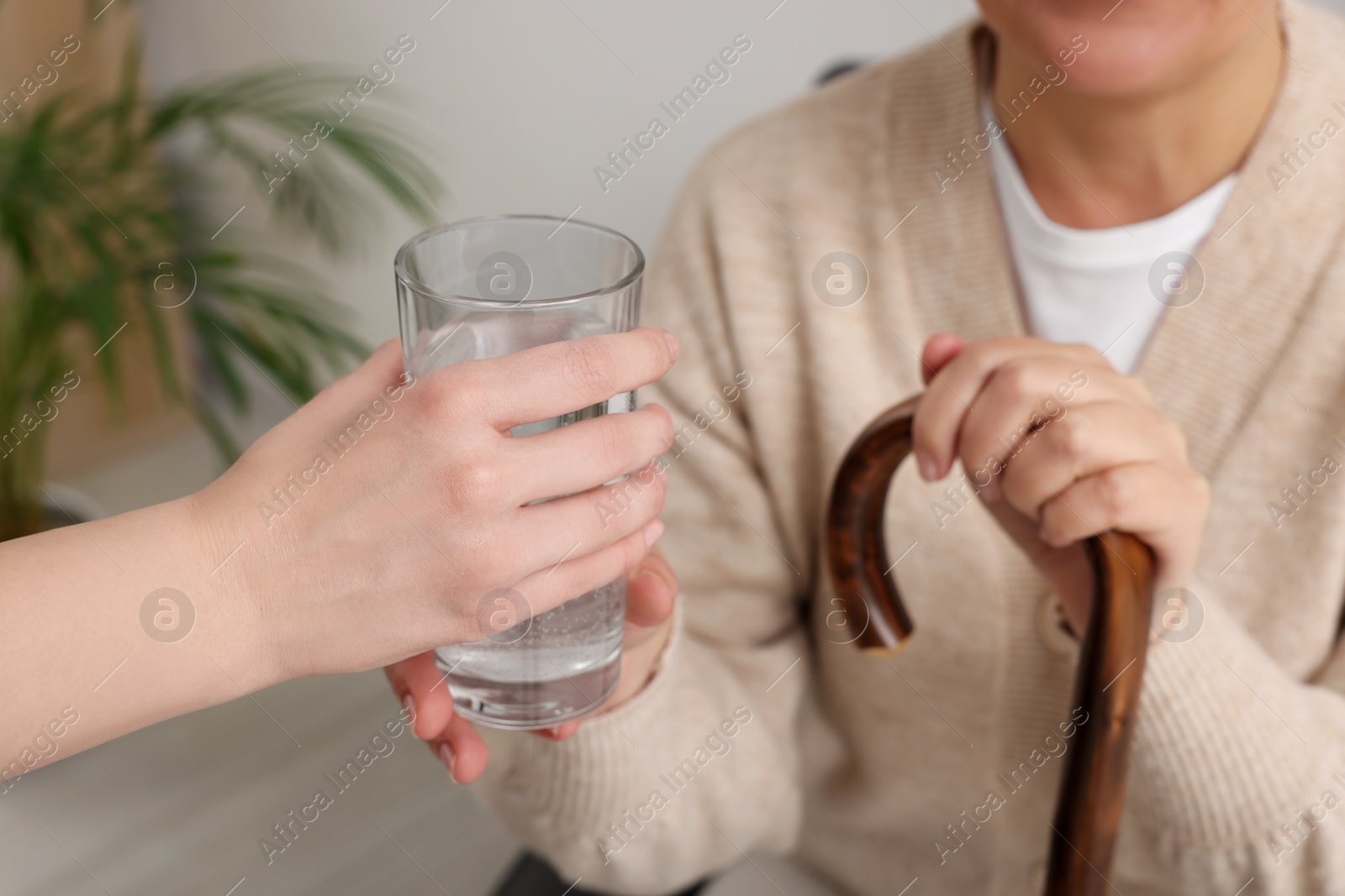 Photo of Caregiver giving water to senior woman with walking cane at home, closeup