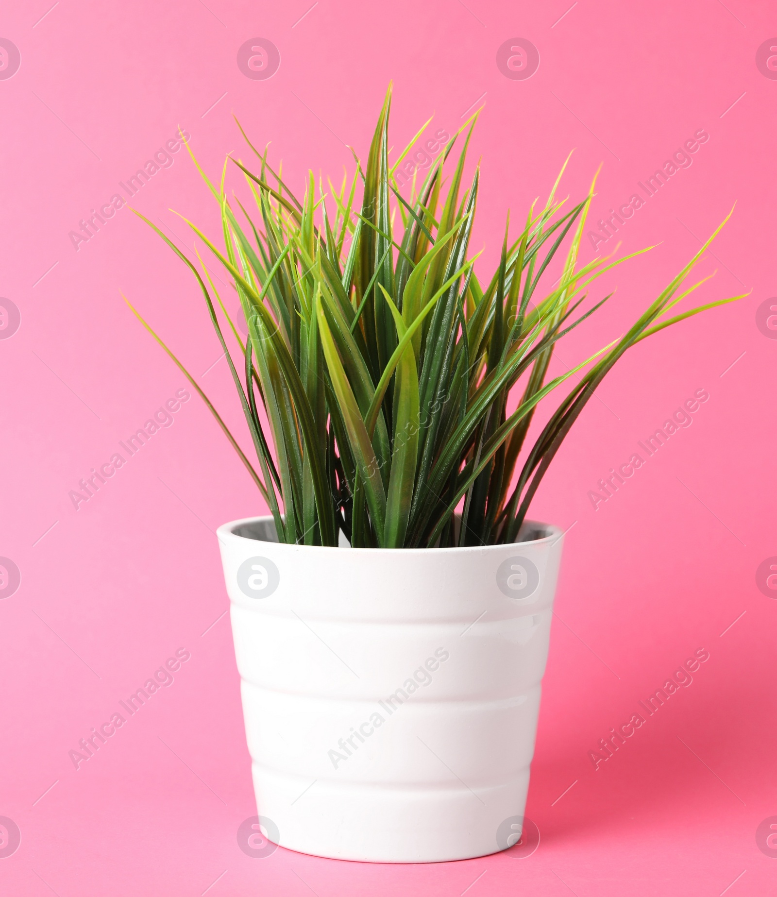 Photo of Beautiful artificial plant in flower pot on pink background, space for text