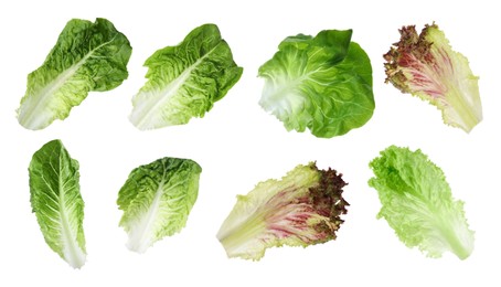 Different types of lettuce isolated on white, collage design