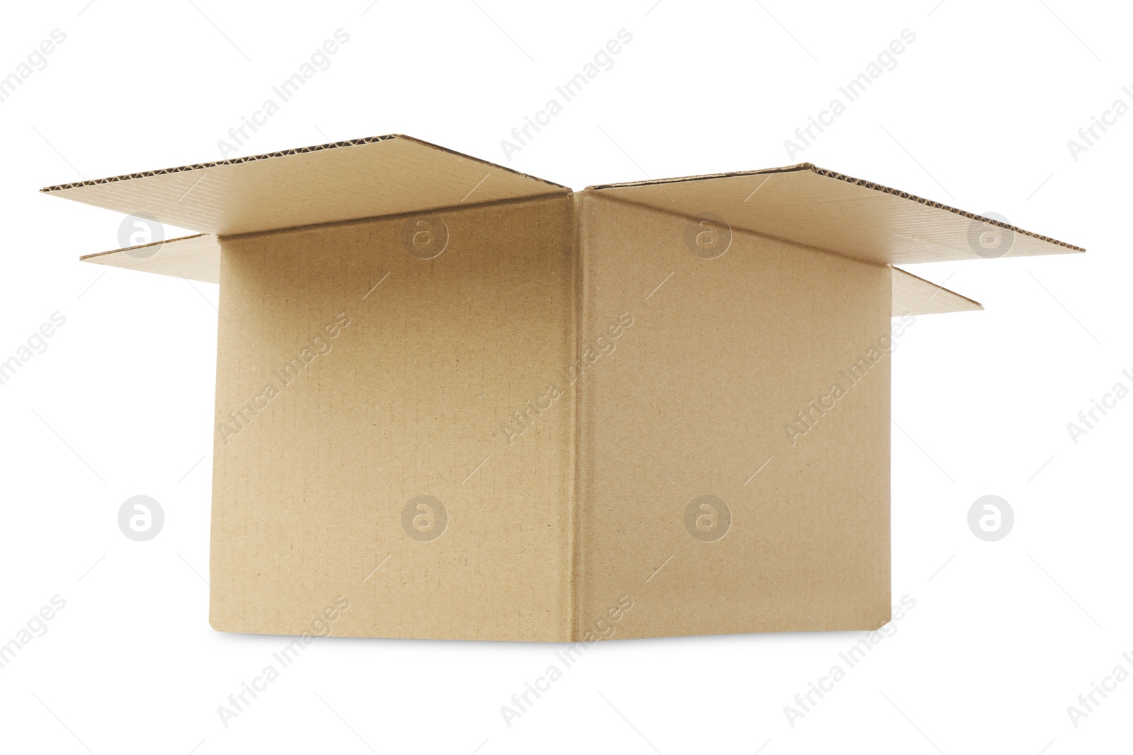 Photo of One open cardboard box on white background