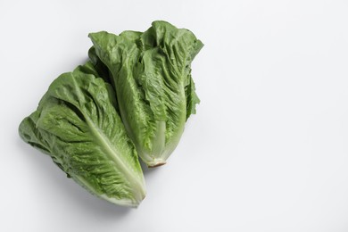 Photo of Fresh green romaine lettuces on white background, flat lay. Space for text