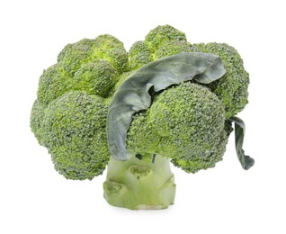 Photo of Fresh raw green broccoli isolated on white