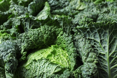 Fresh green savoy cabbages as background, closeup