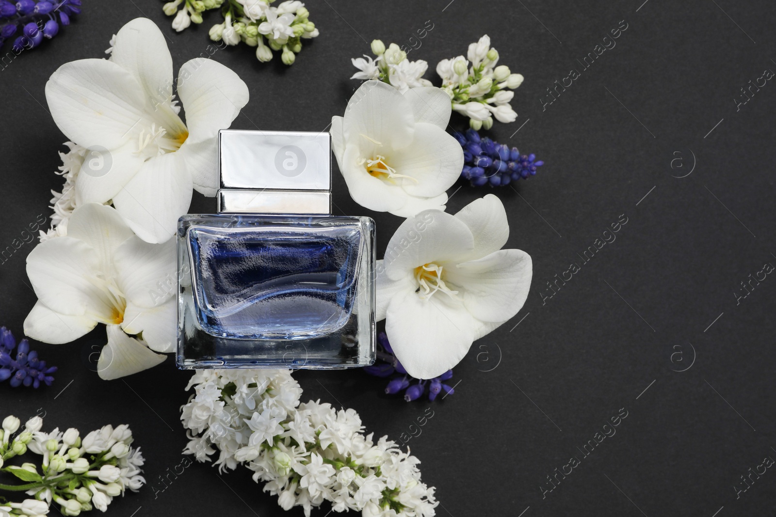 Photo of Bottle of luxury perfume and floral decor on black background, flat lay. Space for text