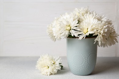 Photo of Beautiful chrysanthemum flowers in vase on grey table, space for text