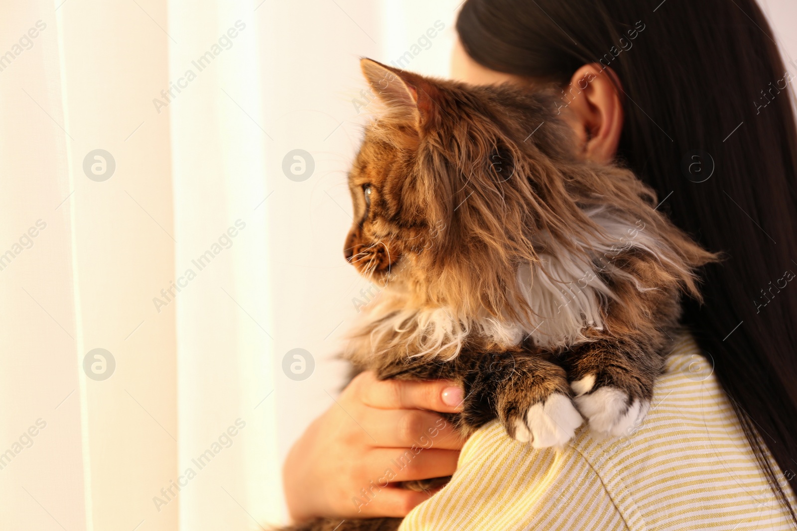 Photo of Beautiful woman with her cute cat on light background, closeup. Fluffy pet