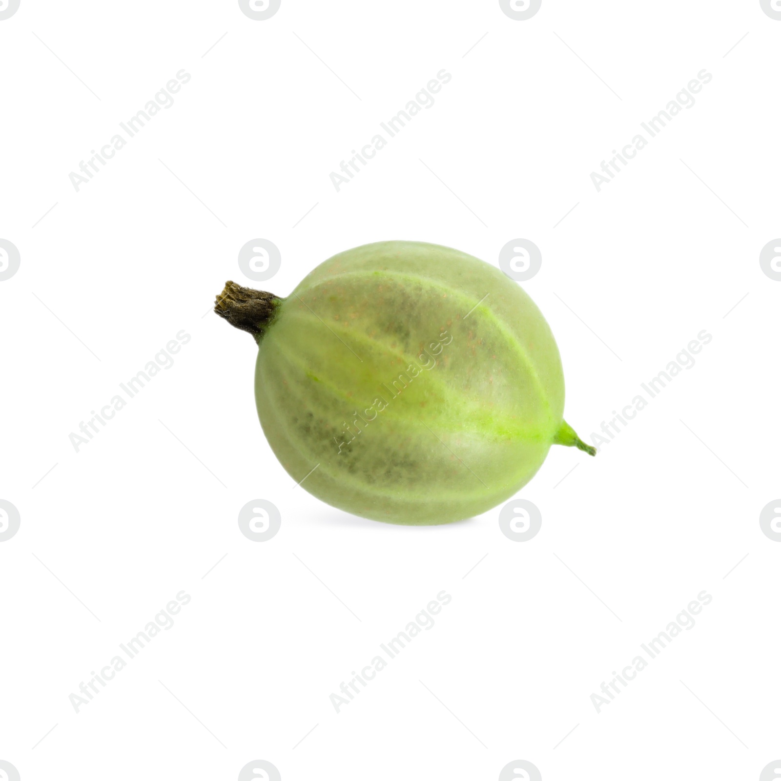 Photo of One fresh ripe gooseberry isolated on white