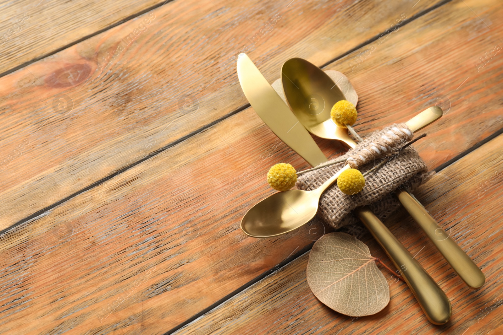 Photo of Set of cutlery and autumnal decor on wooden background, space for text. Table setting elements