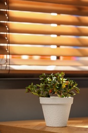 Photo of Beautiful potted Goldfish plant on wooden table indoors