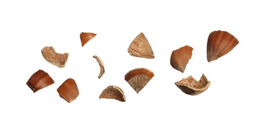 Photo of Pieces of hazelnut shell on white background