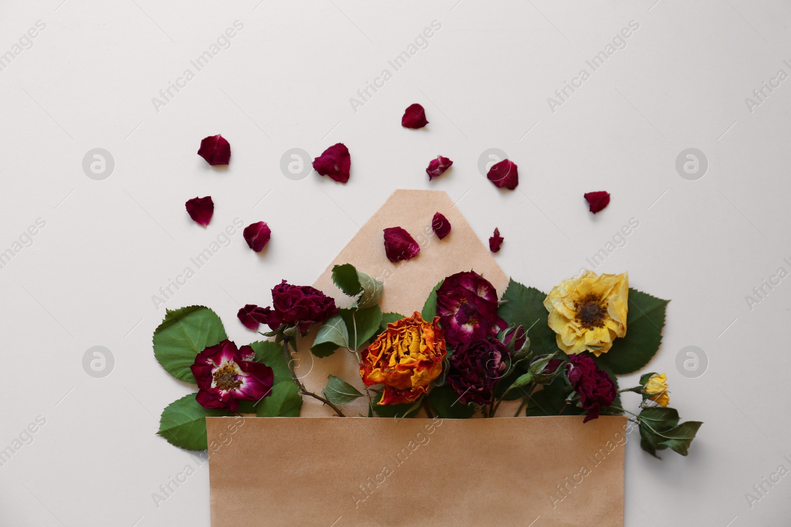 Photo of Flat lay composition with beautiful dried flowers in envelope on white background