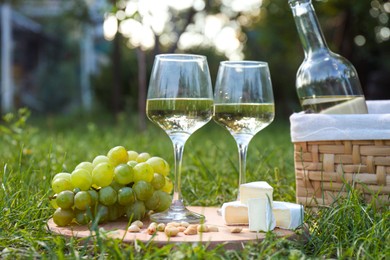 Delicious white wine, grapes, cheese and nuts on green grass outdoors