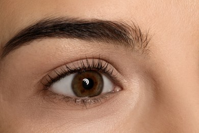 Young woman after eyelash lamination, closeup. Professional service